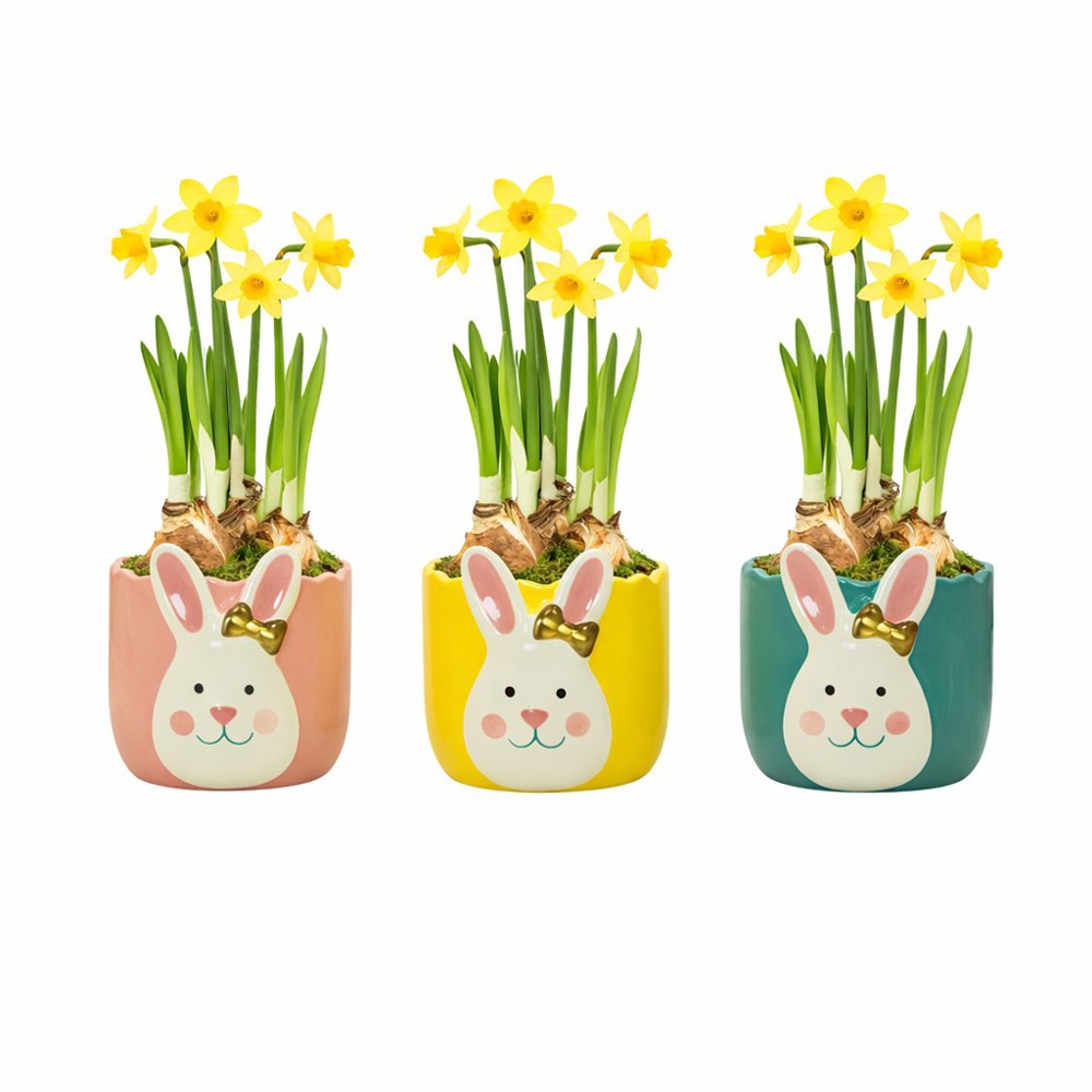 Easter golden bunny medium - Narzisse, Ohne Verpackung